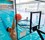 RockSolid Basketball Pool Game with Extended Reach Thumbnail for RockSolid Basketball Pool Game with Extended Reach