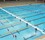 SwimWall with Lane Lines and Flags Thumbnail for SwimWall with Lane Lines and Flags