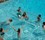 Swim N' Spike In-Pool Volleyball Game Thumbnail for Swim N' Spike In-Pool Volleyball Game