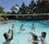 Swim N' Spike Pool Volleyball Action Thumbnail for Swim N' Spike Pool Volleyball Action